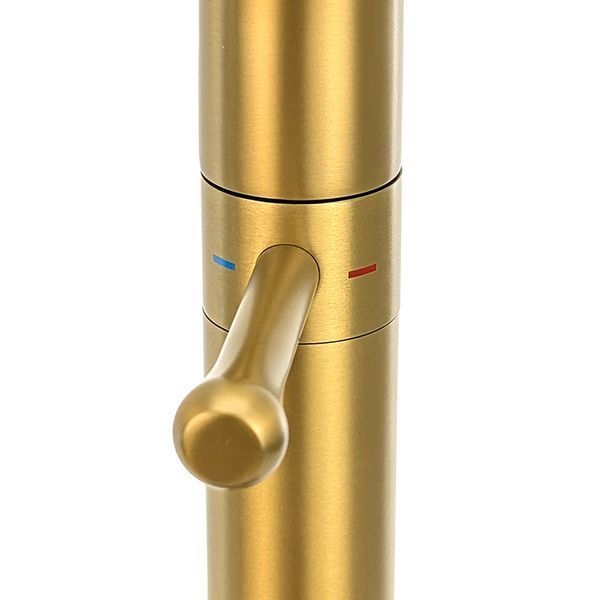 Смеситель для кухни MONE Deluxe SL202101W Gold 39557 фото