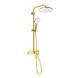 Душевая система MONE Deluxe OLIVIA 60235TG Gold 39963 фото 1