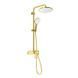 Душевая система MONE Deluxe OLIVIA 60235TG Gold 39963 фото 1