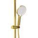 Душевая система MONE Deluxe OLIVIA 60235TG Gold 39963 фото 2